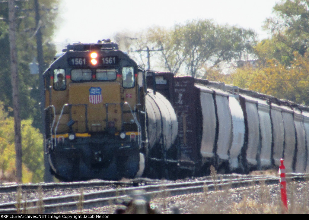 UP 1561
